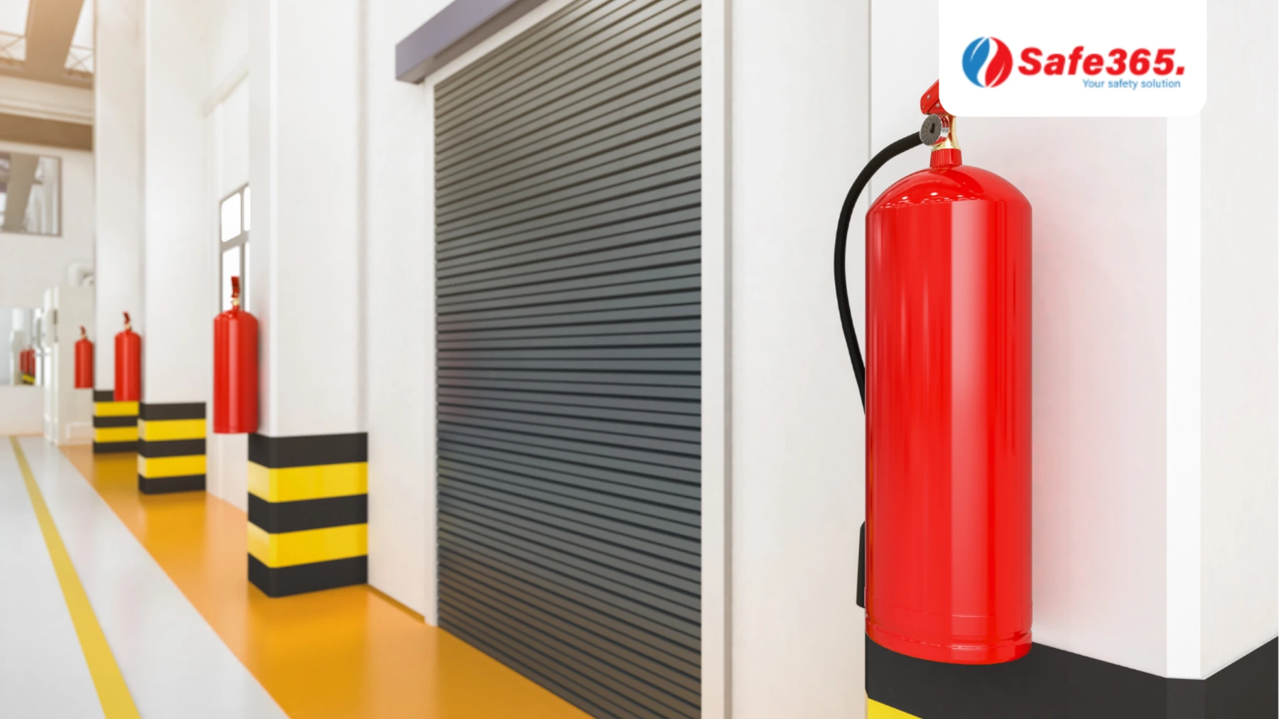 Tổng hợp các loại bình chữa cháy bột phổ biến hiện nay