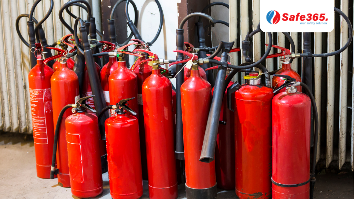 Các loại bình chữa cháy CO2 phổ biến trên thị trường