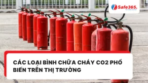 Các loại bình chữa cháy CO2 phổ biến trên thị trường
